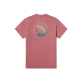 Rhubarb 