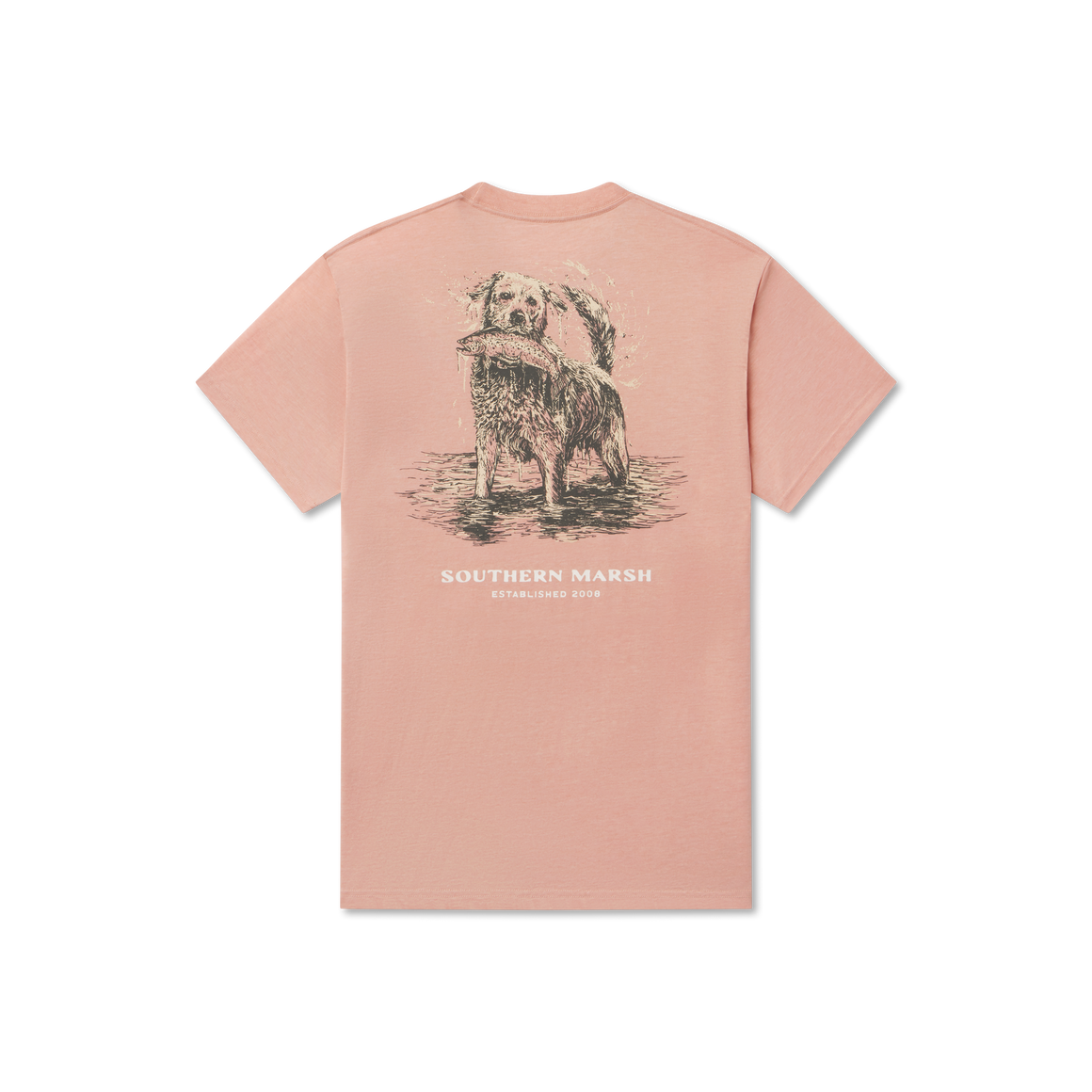 Salmon