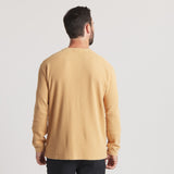Camel | On Model Back