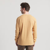 Camel | On Model Back 2