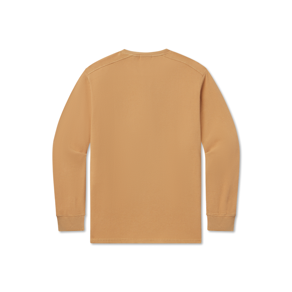 Camel | Back