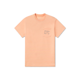 Terracotta | Front