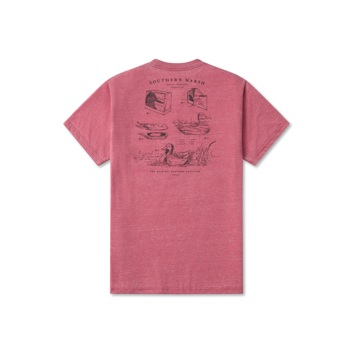 Rhubarb