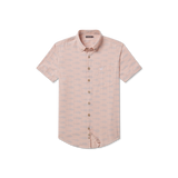 Camellia | FRONT