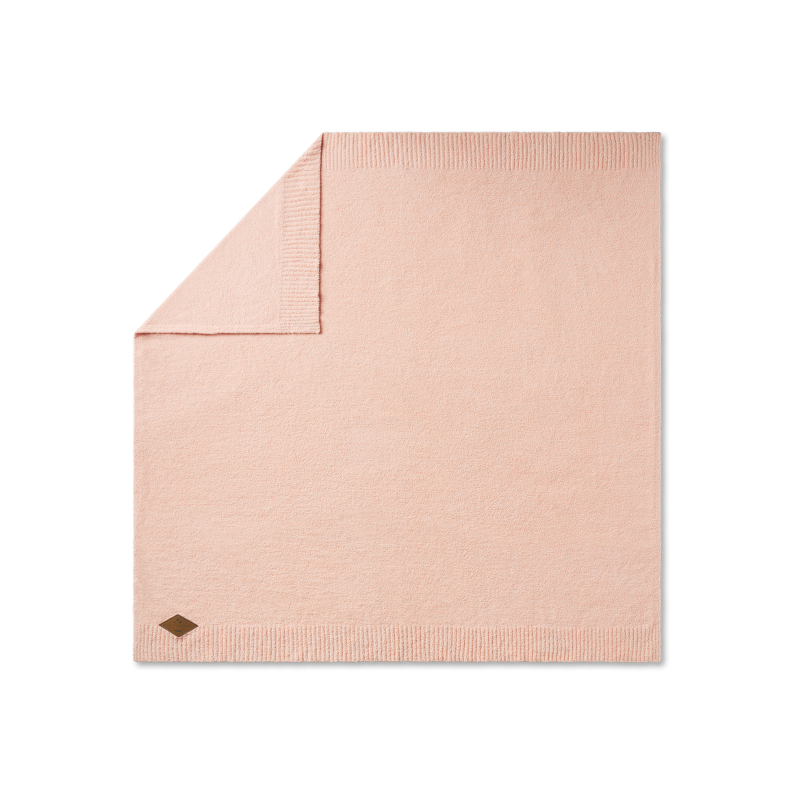 Camellia| Open
