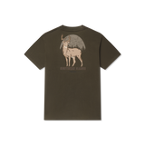Dark Olive
