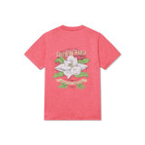 Washed Strawberry Fizz Heather