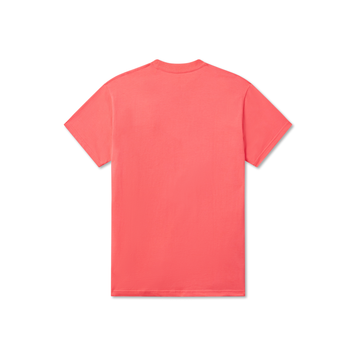 Coral with Blue | Back