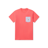 Coral with Blue