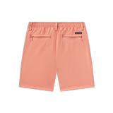Salmon | back