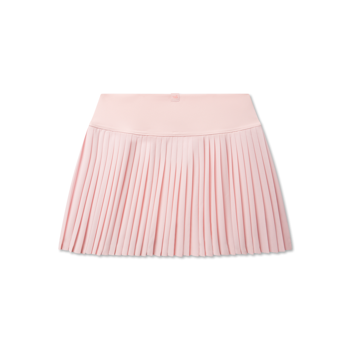 Camellia | Back