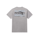Midnight    Gray