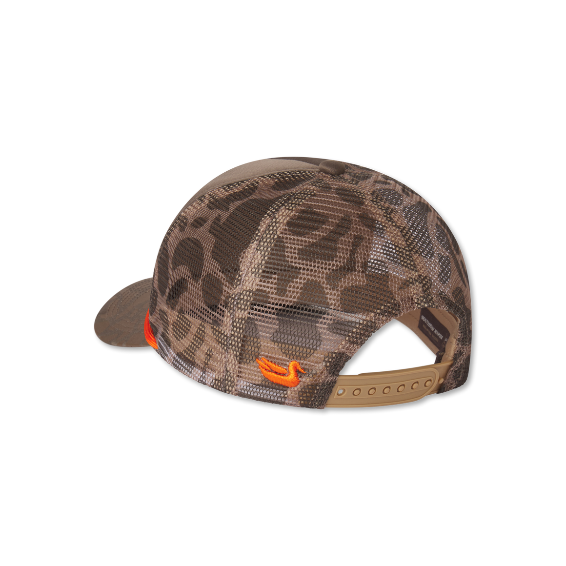 Light     Brown | Back