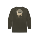 Dark Olive 
