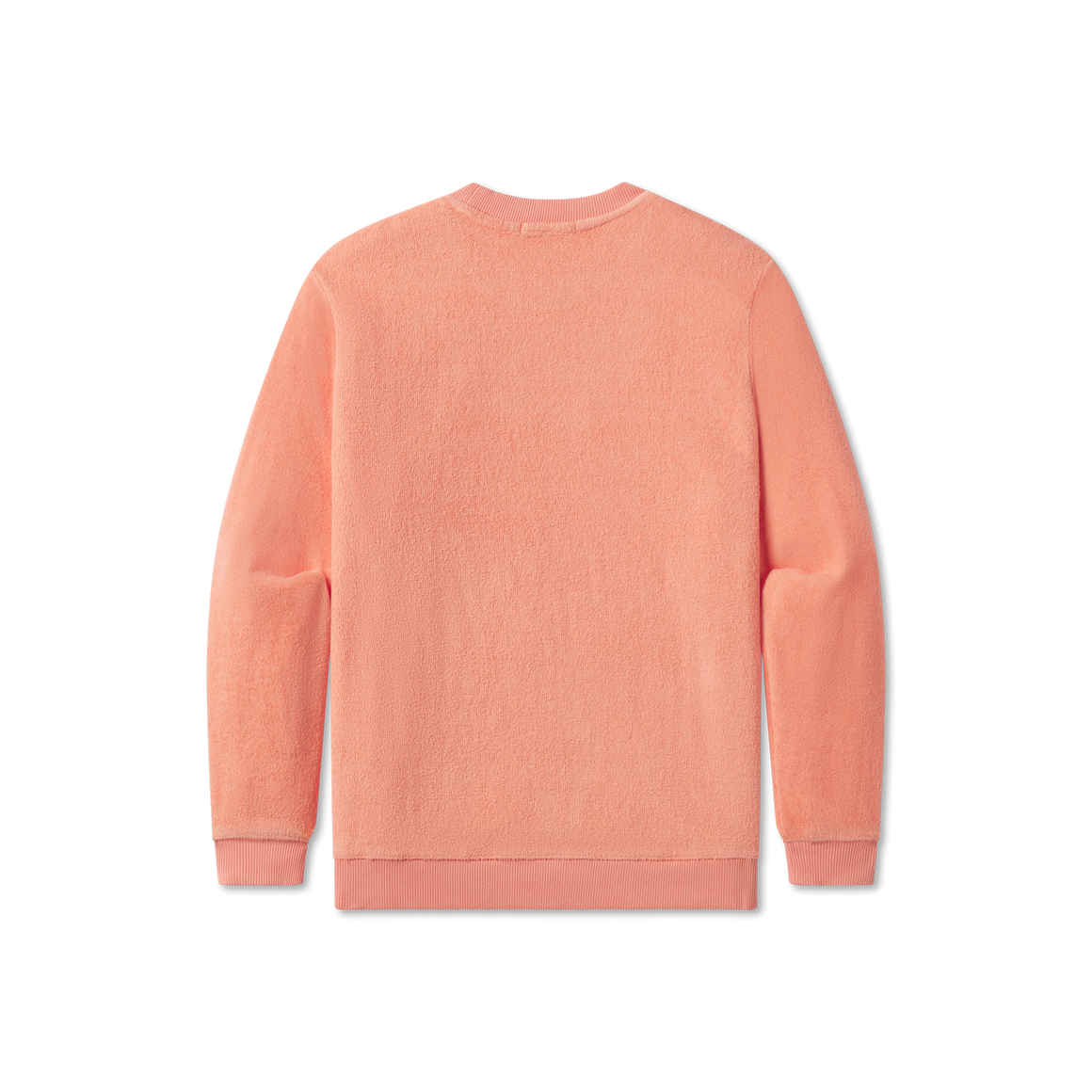 Coral| Back