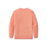 Coral| Back