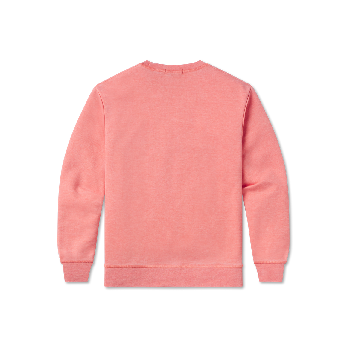 Coral | Back