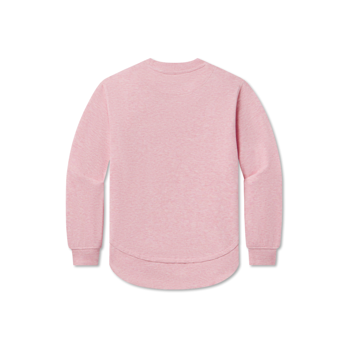 Pink Terra | Back