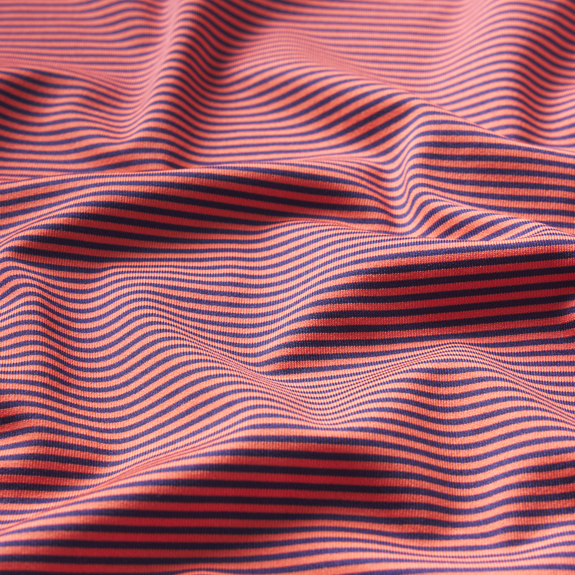 Dark Bluebonnet & Coral | Print Zoom
