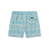 Blue and Lime | Back