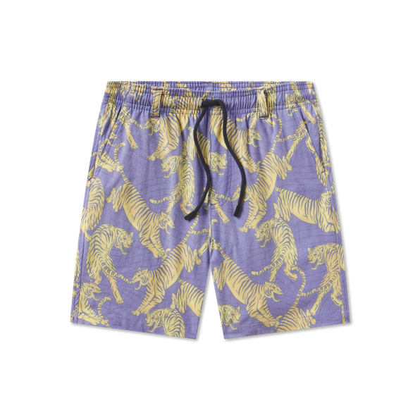 Purple & Yellow Tiger