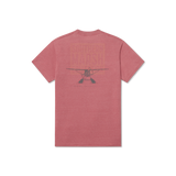 Rhubarb