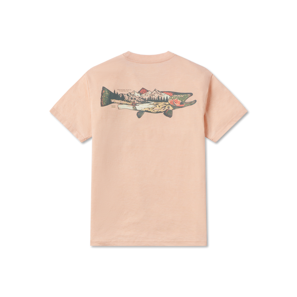 Terracotta