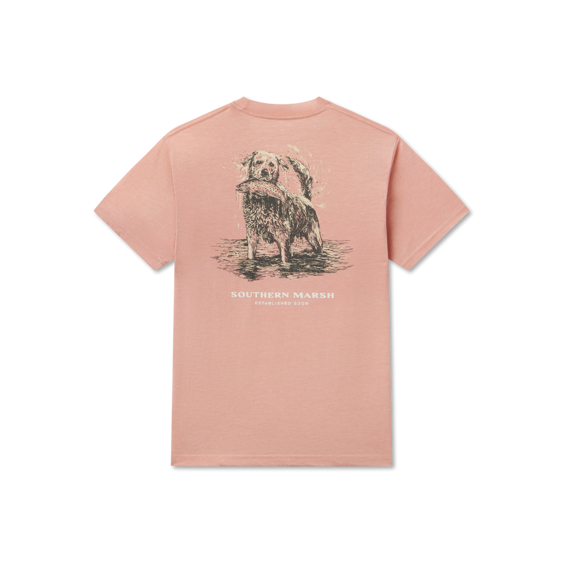Salmon