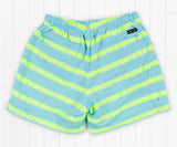 Antigua Blue Cruiser Stripe | Dockside Swim Trunk | Cruiser Stripe | Back