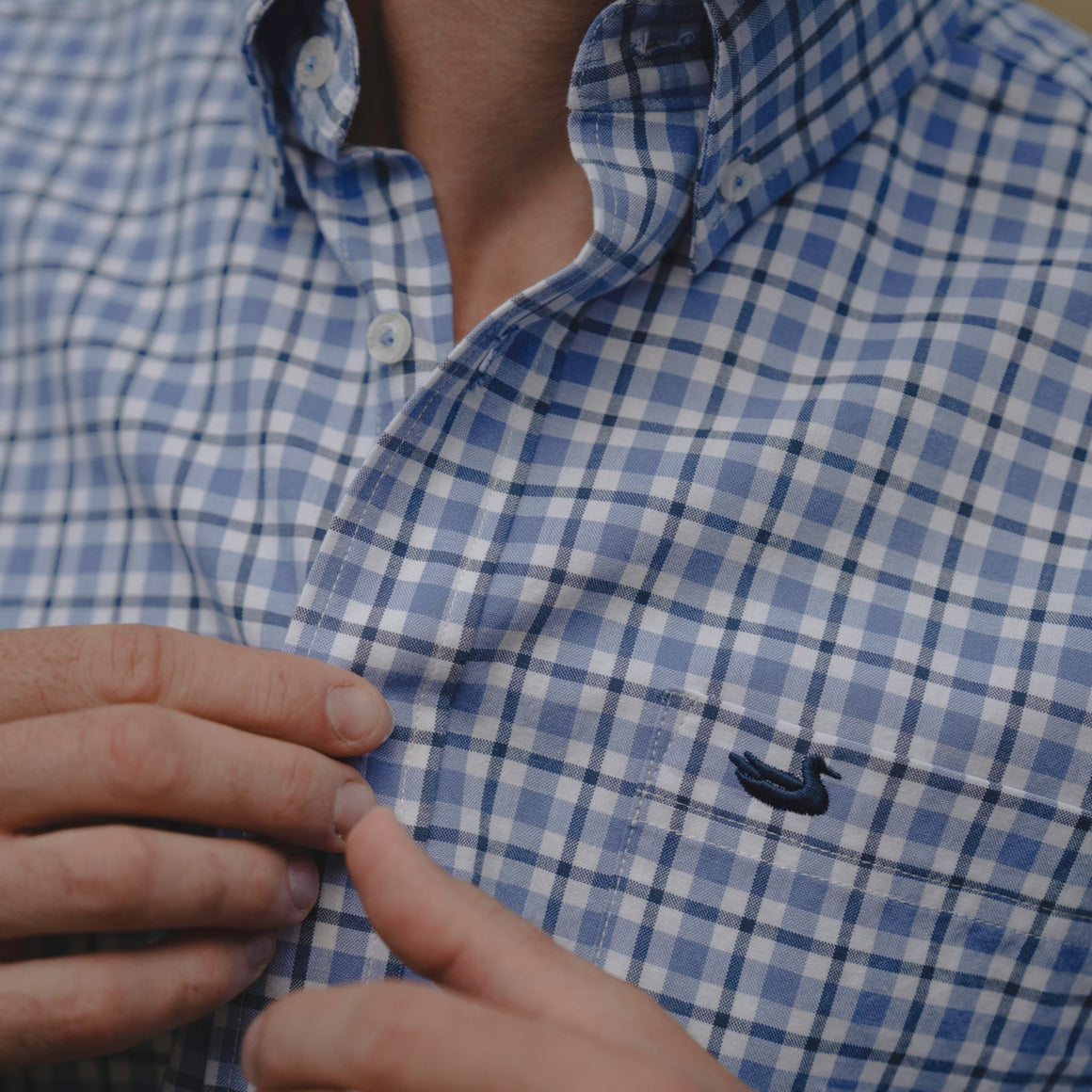 French  Blue   and    Navy | LS 2